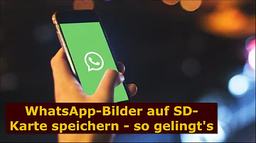 Warum kann WhatsApp nicht auf SD-Karte speichern?