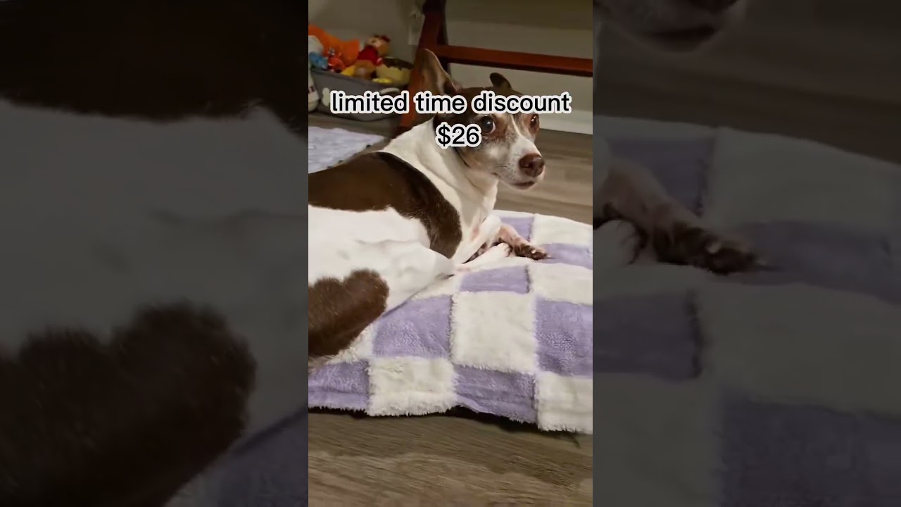 Protect Your Home with This Waterproof Pet Mattress! 