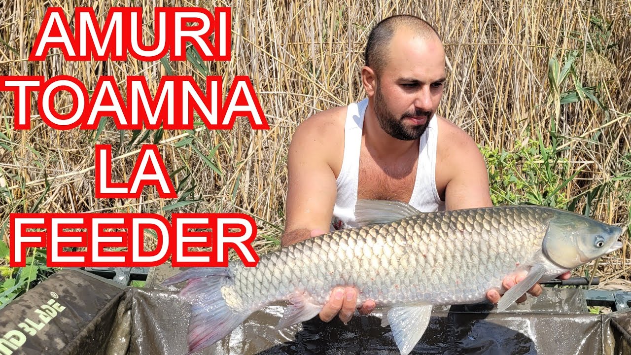 Cum Sa Prinzi CTENO(Amur) La FEEDER! SUPER Partida pe  Balta Petru Rares!