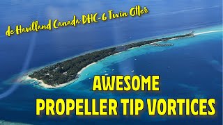 Stunning propeller tip vortices on the de Havilland Canada DHC-6 Twin Otter #aviation