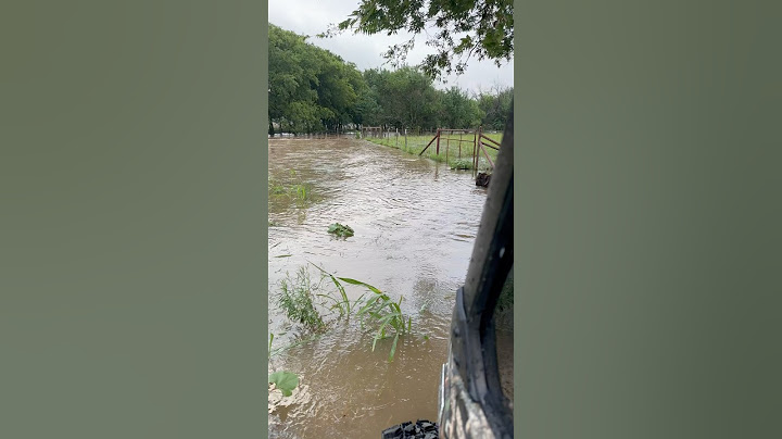 Rain check: here’s the latest on how much water we’re swimming in around here! 🌧️💦 #TexasRain