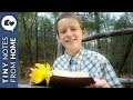 First Days of Spring // SHORT FILM