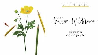 Yellow Wildflower for YouTube