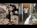 Powerful Earthquakes That Left People Shaken