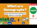 Understanding Homographs