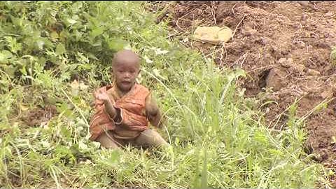 Rwanda: Back to the Garden