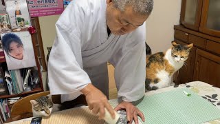 さんまを美味しく食べる為、大根おろしを制作中の住職と見守る猫。