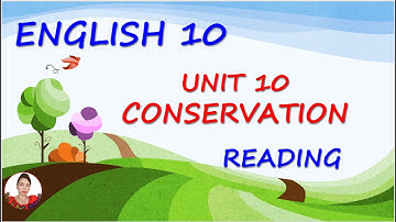 Bee & Ant Channel: English 10 Unit 10 Reading