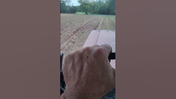 chisel plowing oats stubble