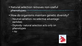 Microevoltuion: Maintaining Diversity