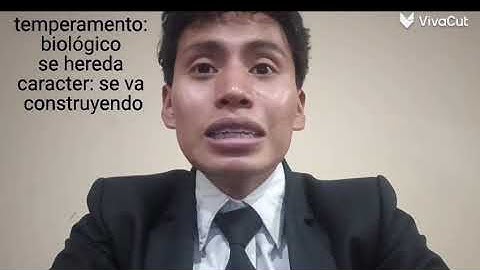 Trabajo individual No. 2 -Tarea de análisis y sintesis - Video