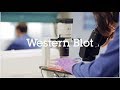 Western blot protocol video