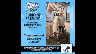 Furry Friends- Birdie from Bobbie's Pit Bull Rescue