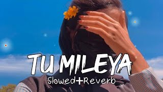 tu mileya - slowed Reverb - vibe soul