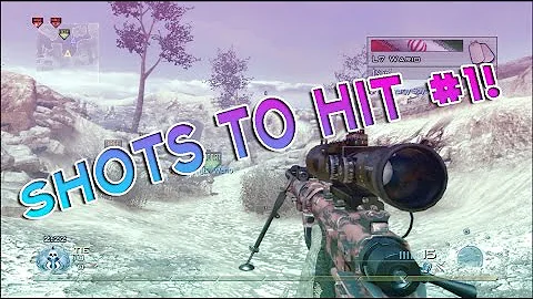 Shots To Hit #1 [MW2]