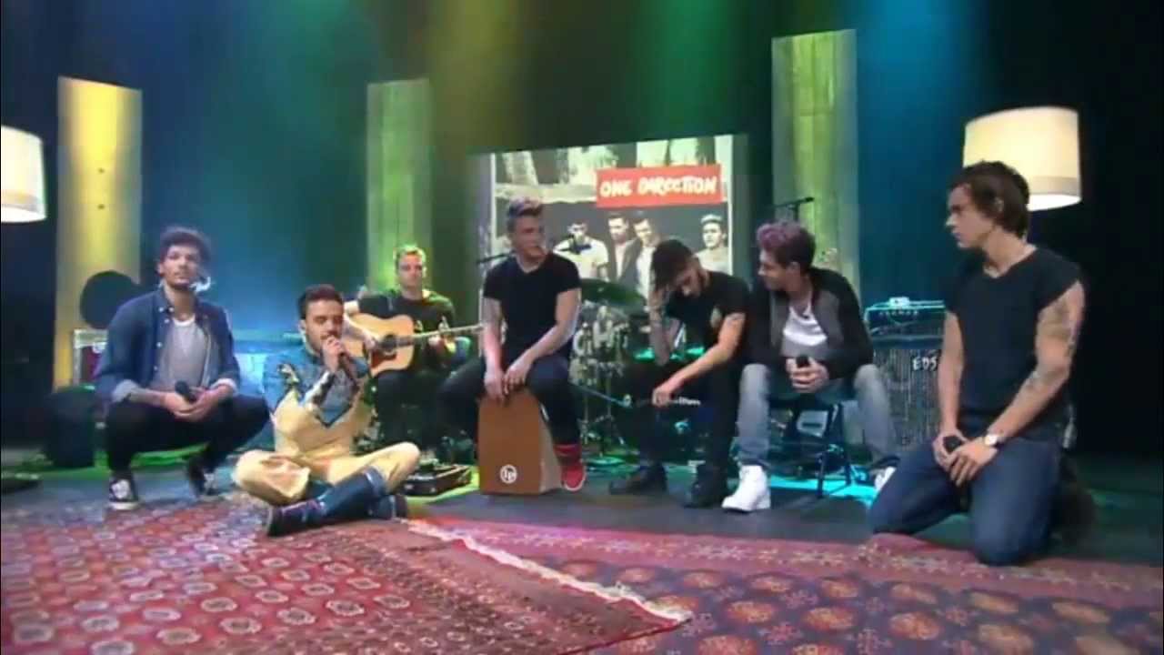 1DDay - Little Things - Live One Direction HD