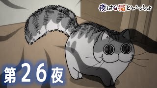 アニメ『夜は猫といっしょ』第26夜「ふくらんだしっぽが気になる」