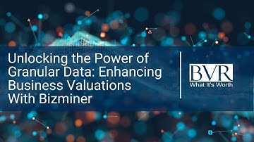 Unlocking the Power of Granular Data: Enhancing Business Valuations with Bizminer