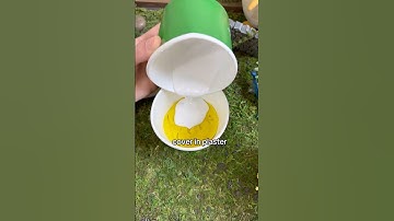 Simple Science - Dinosaur Fossils ⛏️🦖