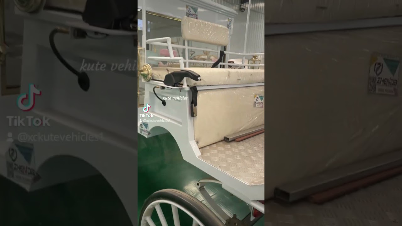 Modern electric hearse carriage 