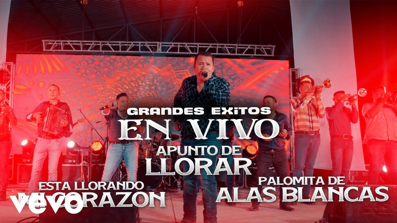 Grandes Exitos (Apunto de Llorar / Esta Llorando Mi Corazon / Palomita de Alas Blancas) Grandes Exitos (Apunto de Llorar / Esta Llorando Mi Corazon / Palomita de Alas Blancas)