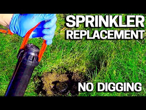 How to replace a sprinkler head without digging