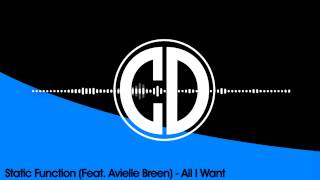 Static Function (ft. Avielle Breen) - All I Want