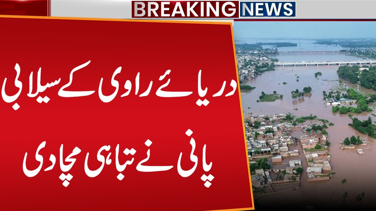 Ravi River Flood | Kamalia Update | Crops Destroyed | Punjab Flood Disaster |  Public News