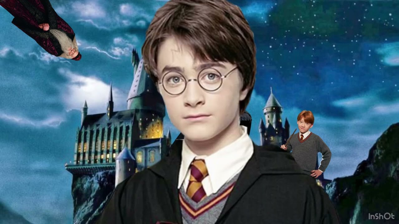 Harry Potter: THE MUSICAL (Original by Potter Puppet Pals) (COVER)