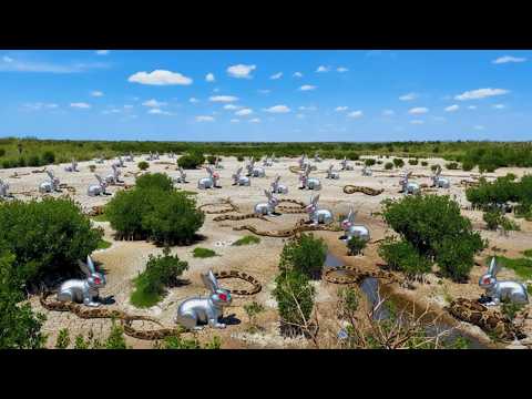 أمريكا نشرة أرانب آلية لقتل الثعابين وما حدث صدم العالم