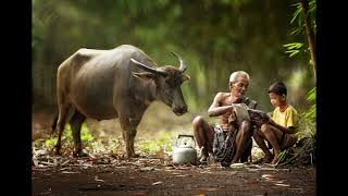 JAMAN JOYOBOYO WIS CEDEK CERITA JAWA KUNO #jamandahulu #ramalan #jayabaya #sejarah #sejarahindonesia