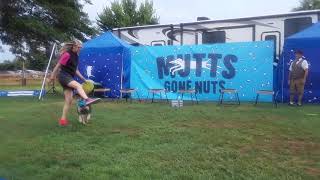 Mutts Gone Nuts, Gironimo and Samantha. This dog is AMAZING!