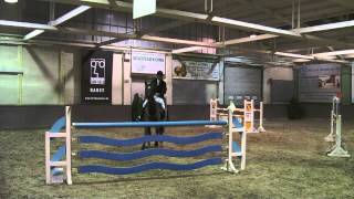 Indira vd Kwekenhoeve (Blue Boy x Nonstop) - 120 - Moervelden - januari 2015
