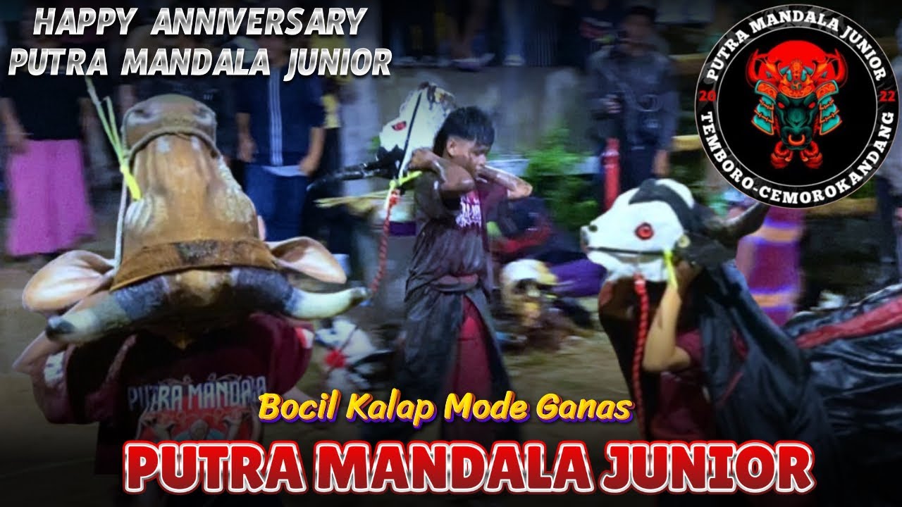 Gawat!? Bocil Kalapan Ganas!!,, PUTRA MANDALA JUNIOR Full Mberot || ANNIVERSARY 2024