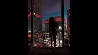 [FREE] "TOP" - AFRO / REGGAETON LOOP KIT (Ambient, Melodic, Deep)
