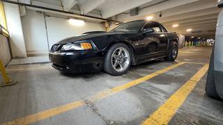 Todd Warren Turbo Cams Idle (02 Mustang GT 4.6)