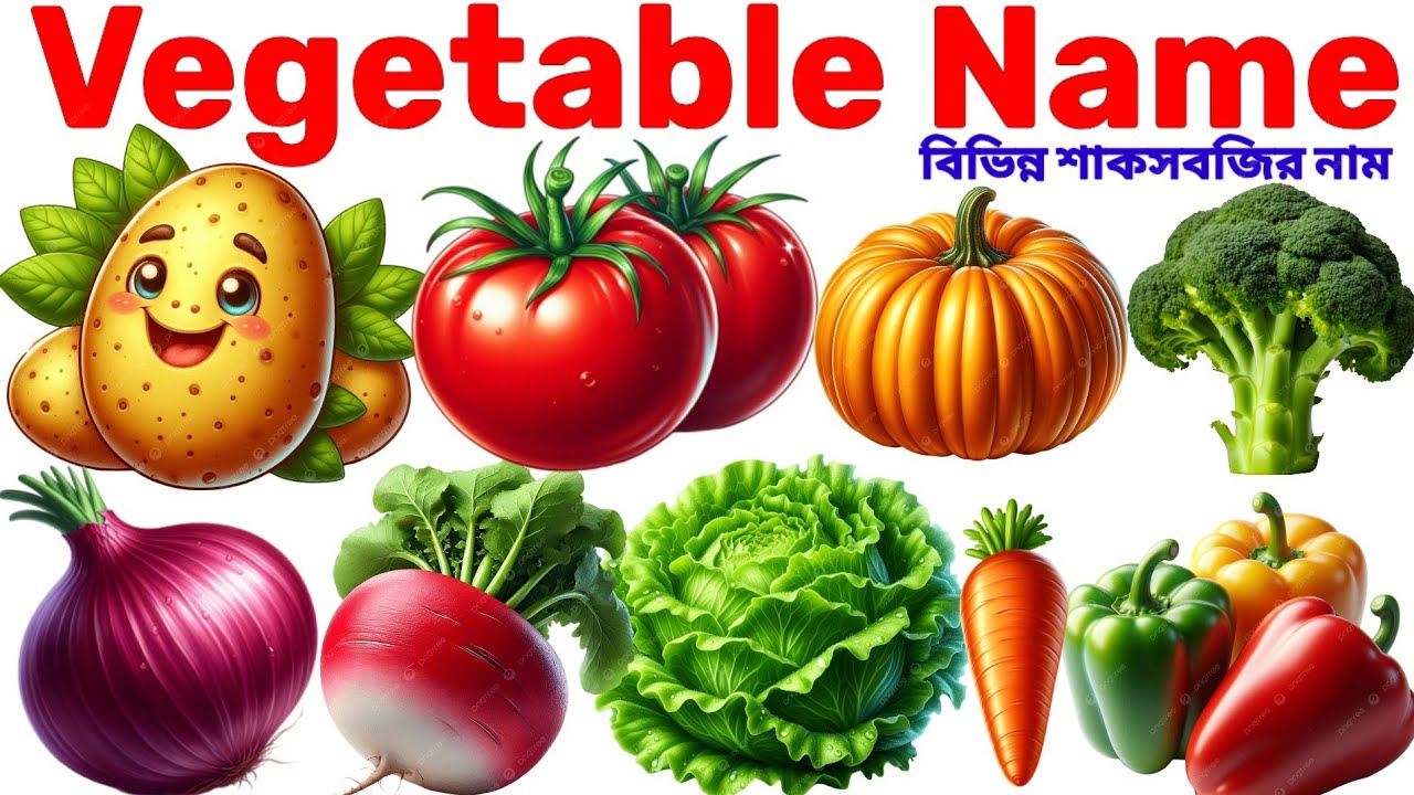 Vegetable Name in English with Pictures।30 Vegetable Name for Kids।Learn Vegetable Vocabulary 
