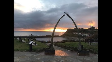 Why is the Yorkshire coast full of fossils?