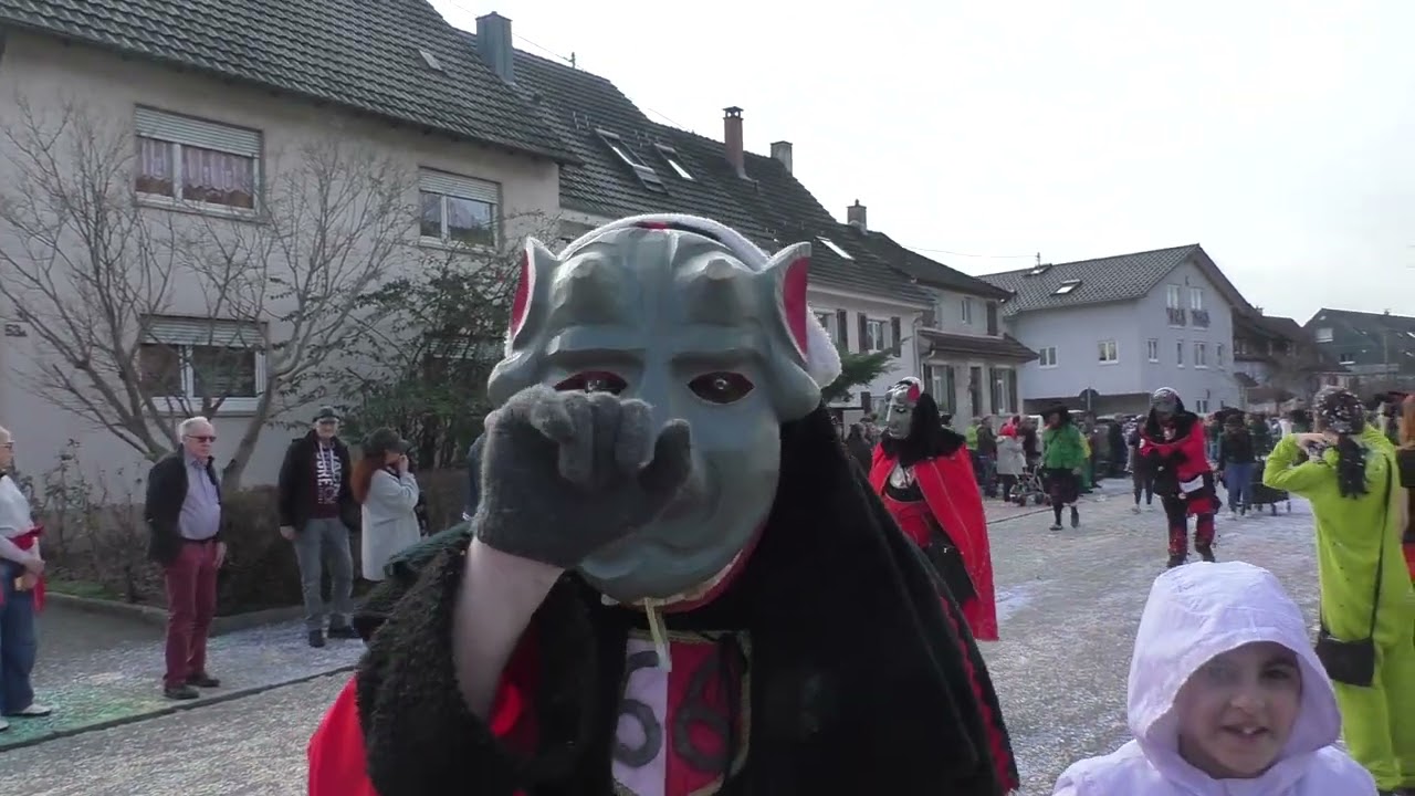 Buurefasnachtumzug in Weil am Rhein 2025 #3