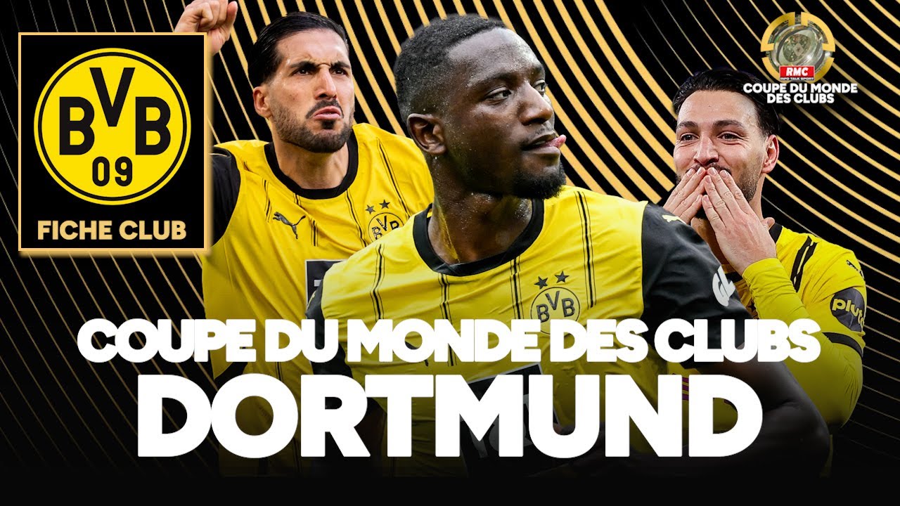 Verre à Dents Borussia Dortmund – Jaune/Noir, 8.5x7.2cm – Logo BVB, Matière Plastique – Taille Unique