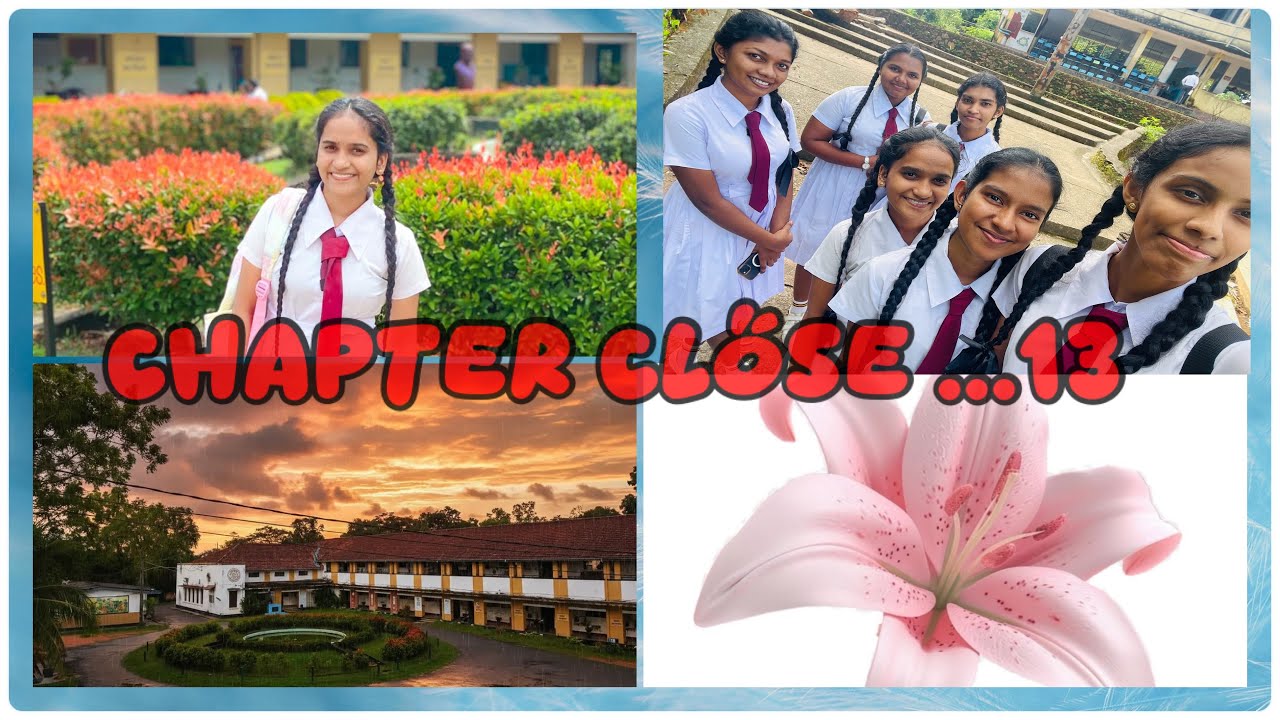 End of Exams – Time to Breathe✨🍃 Exam ඉවර වුණා – දැන් සන්සුන් 😌💖