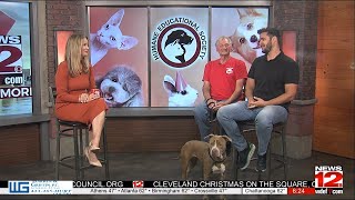 This Morning - Humane Educational Society