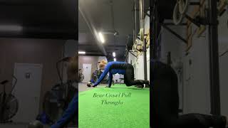 Bear Crawl Pull Throughs