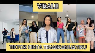 Tiktok Viral Dj Remix cinta Tegarkan Hatiku