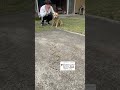 世界最速記録を達成した瞬間の映像#shorts