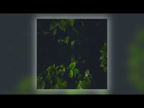 Martina Bertoni - Moving Nature [Audio]