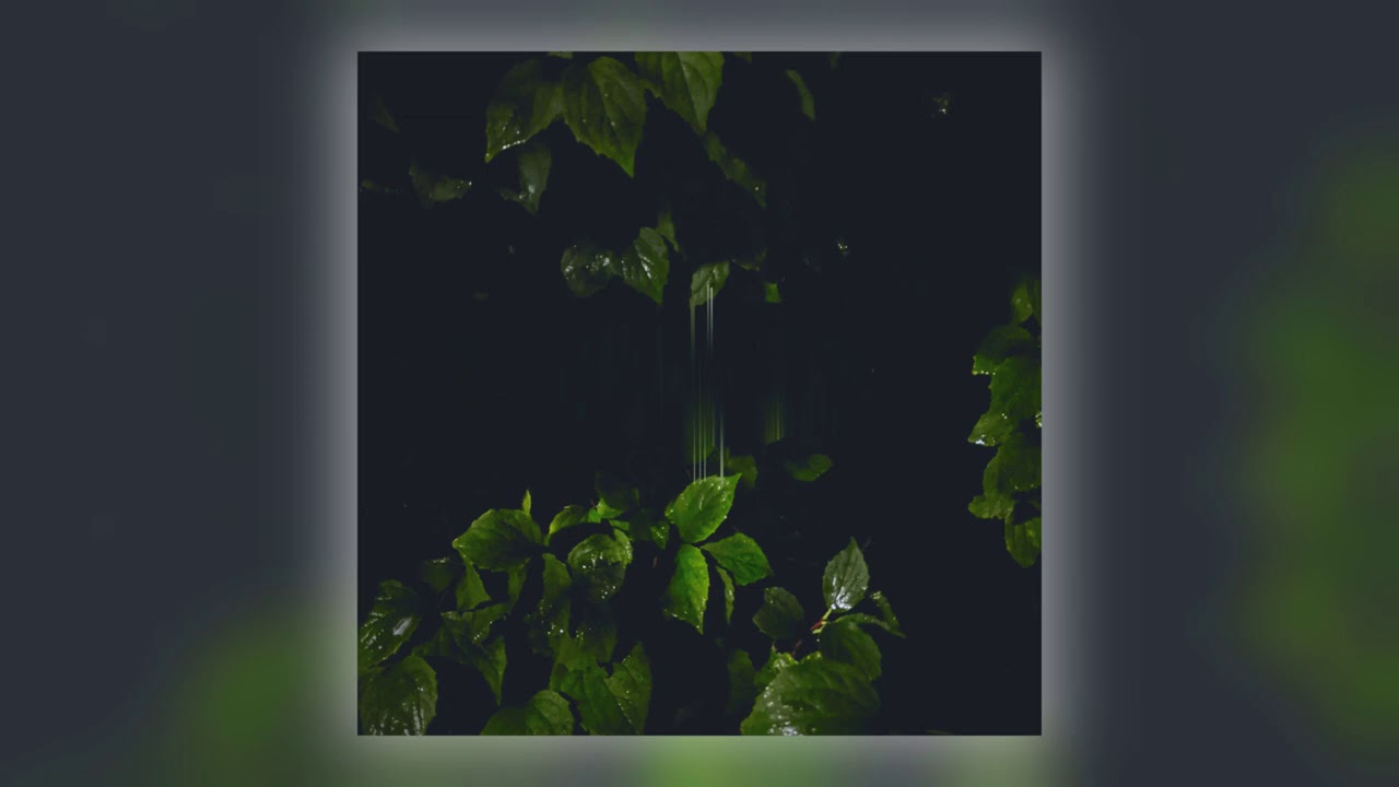 Martina Bertoni - Moving Nature [Audio]