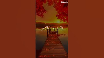 قل كفى بالله بيني وبينكم شهيد #سوره العنكبوت