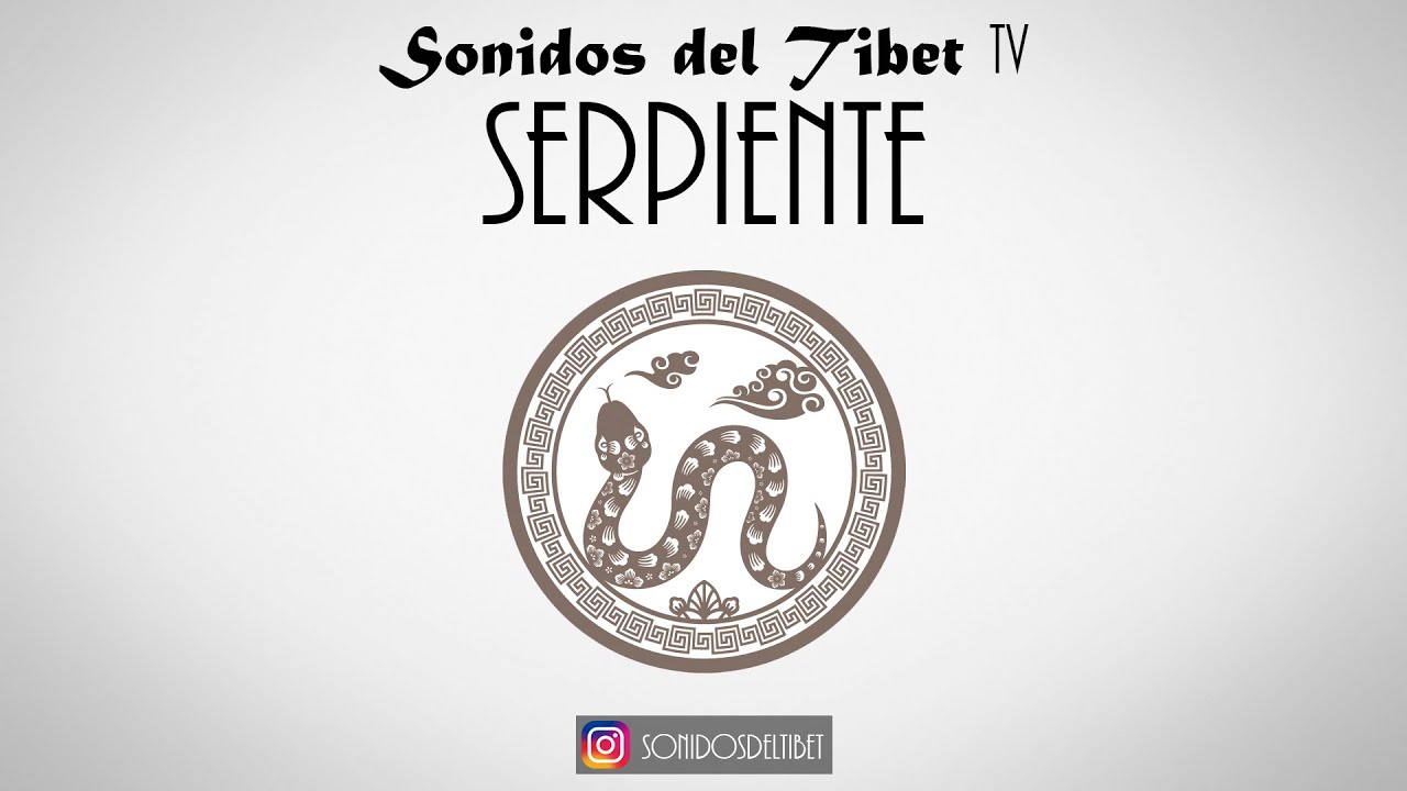 Chinese Horoscope - Snake Meditation