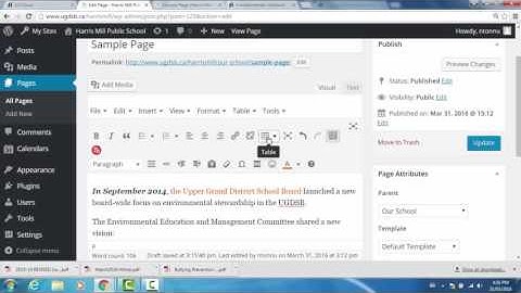 Update Page using WYSIWYG editor